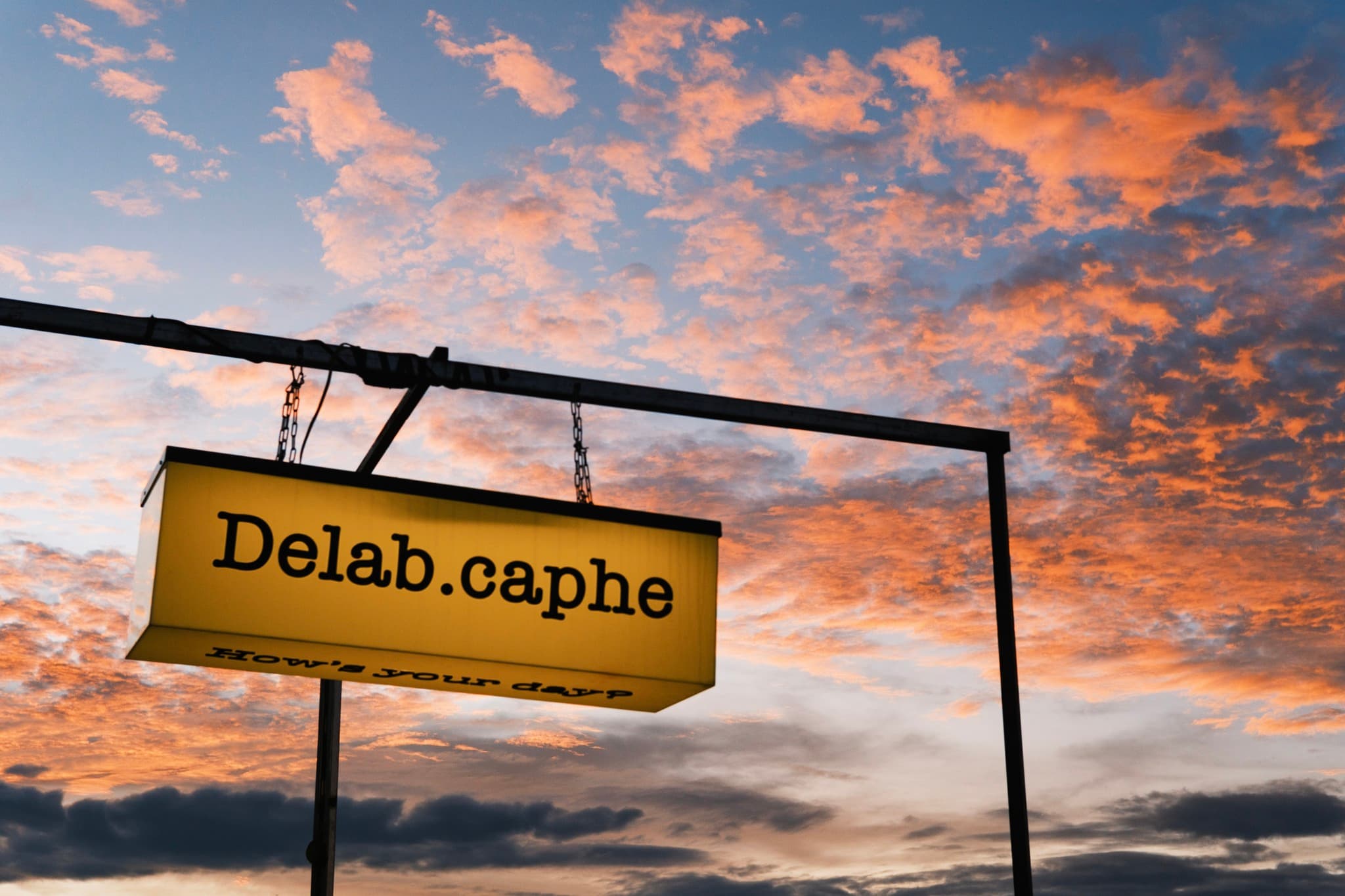 delab cover.jpg